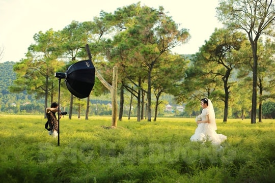 Mê mẩn bãi rễ Côn Sơn