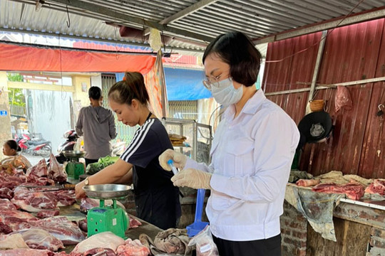 Phát hiện 4 mẫu sản phẩm từ lợn dương tính với dịch tả lợn châu Phi