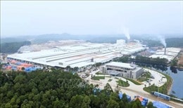 Bất động sản công nghiệp có tiềm năng tăng trưởng bền vững 