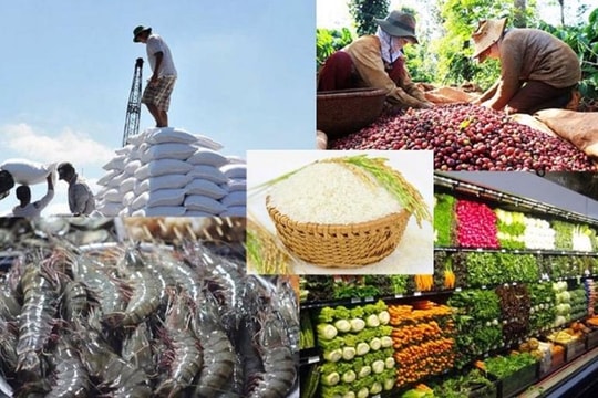 [Infographic] Agro-forestry-fishery export turnover increases over 13%