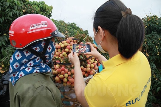 Hai Duong ranks 7th nationwide in number of transactions on e-commerce platforms