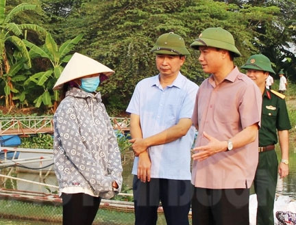 Phát triển bền vững nuôi cá lồng trên sông