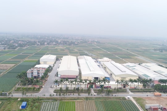 Giám sát chặt chẽ việc chấp hành pháp luật về bảo vệ môi trường của Công ty Tuấn Tú