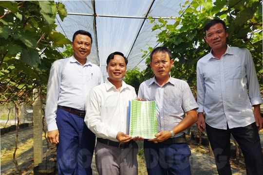 16 Hai Duong businesses, cooperatives ensure product traceability before release