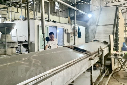 Building green Hoi Yen dried rice noodle craft village
