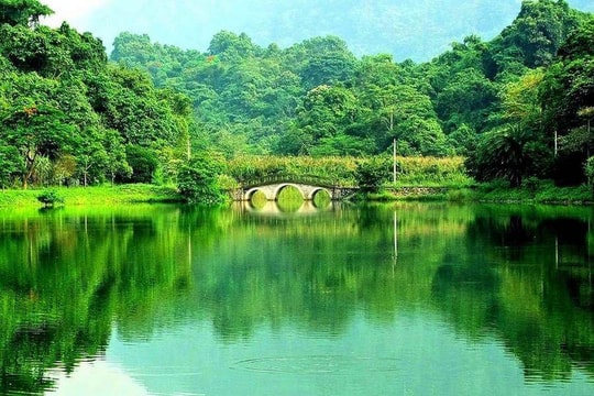 [Infographic] Cuc Phuong among leading national parks in Asia