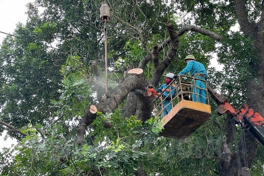 TP Hải Dương xóa điểm vi phạm hành lang lưới điện đặc biệt nguy hiểm