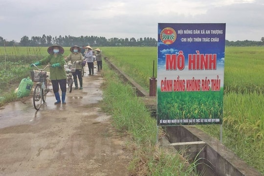 Ninh Giang thành lập tổ tự quản "Cánh đồng không rác thải" 