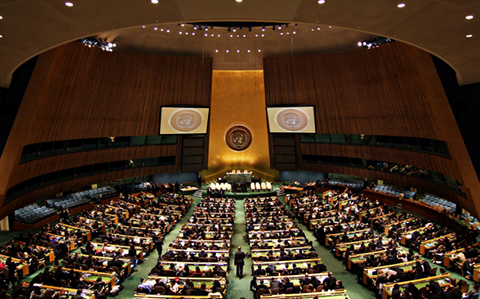 Vietnam elected to UN Human Rights Council