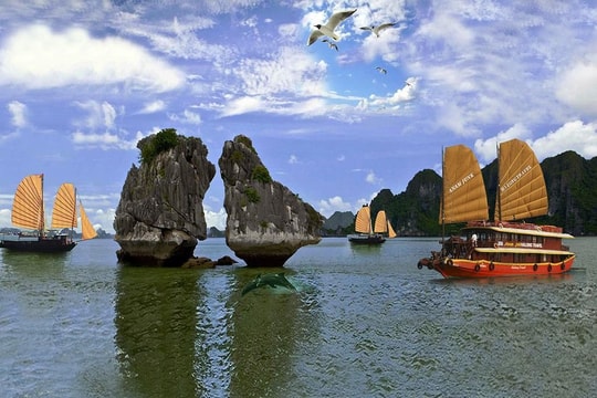 Vietnam among most searched tourist destinations on Google by Australians