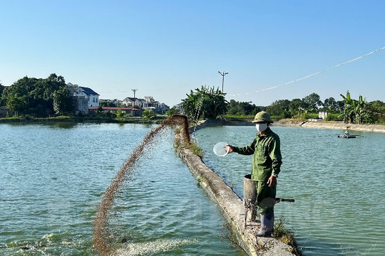 Điển hình trong sử dụng vốn Quỹ Hỗ trợ nông dân