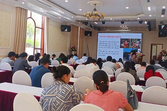 Hướng dẫn cấp và quản lý mã số vùng trồng