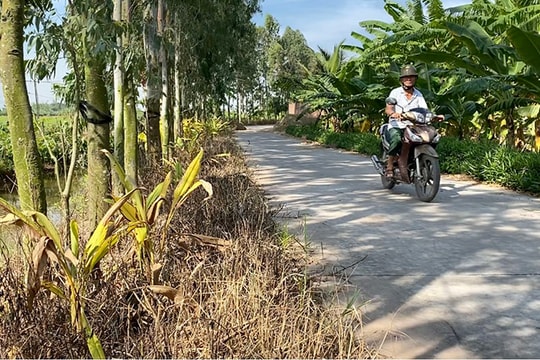 Dùng thuốc diệt cỏ để phá hoa ven đường thôn Bồ Nông