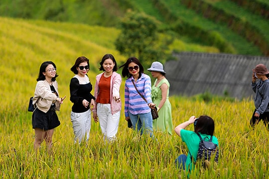 Ngọt ngào Mù Cang Chải mùa lúa chín