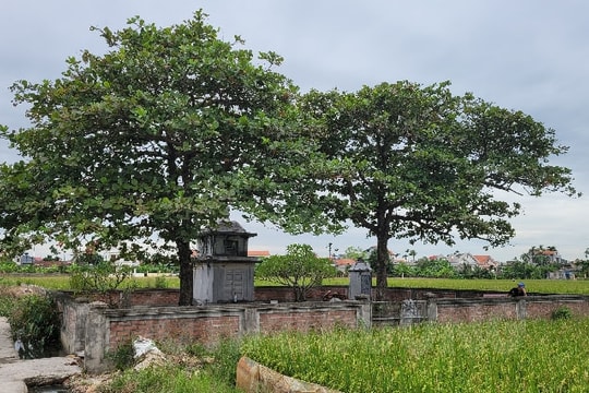 Khu lăng mộ bà Bổi Lạng xuống cấp