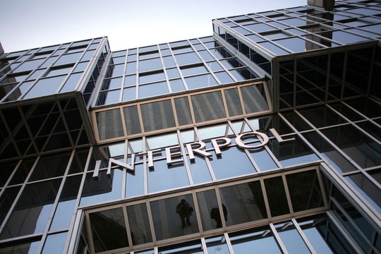Interpol lập đội cảnh sát trong vũ trụ ảo