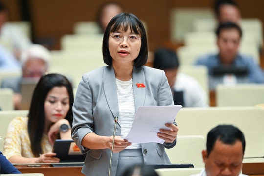 Ban Thanh tra nhân dân ở nhiều nơi hoạt động hình thức
