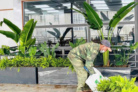 Hướng tới công trình xanh