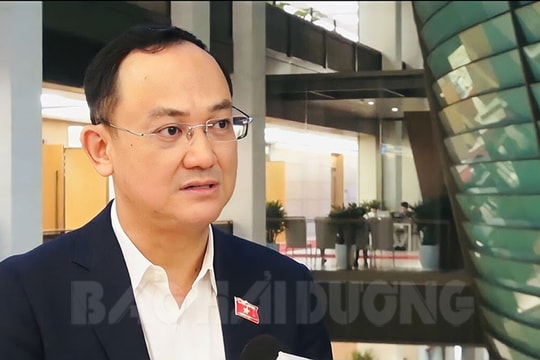 Các vụ FLC, Tân Hoàng Minh, Vạn Thịnh Phát rúng động giới đầu tư