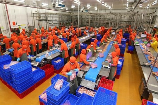 FDI inflows reach 22.46 billion USD in 10 months