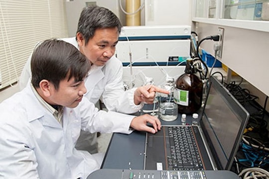 Nhà khoa học Việt tìm ra chất ức chế tế bào ung thư từ gạo