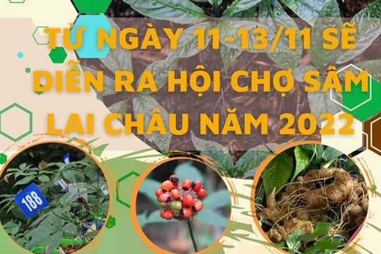 [Đồ họa] Hội chợ sâm lần đầu tiên được tổ chức tại Lai Châu