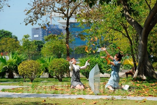 [Photos] Autumn moments in Hai Duong city