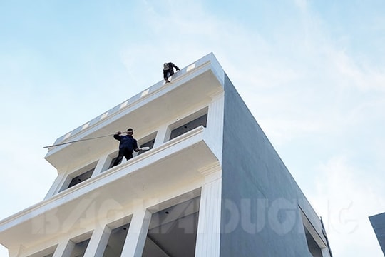 “Người nhện” trong thành phố