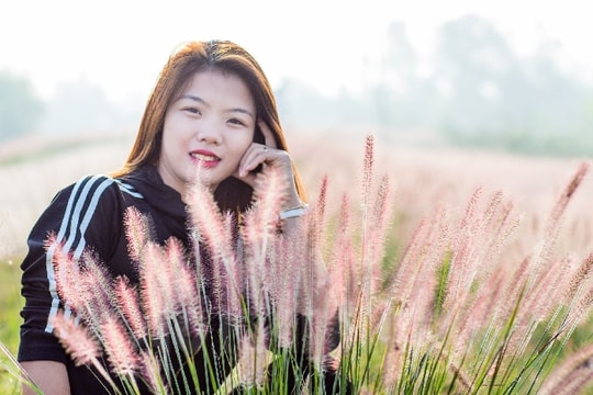 [Photos] Endless pink grass on Sy dyke