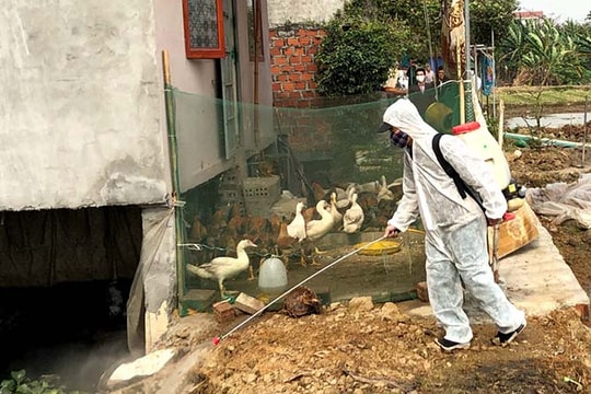 Kỹ thuật phun khử trùng môi trường chăn nuôi