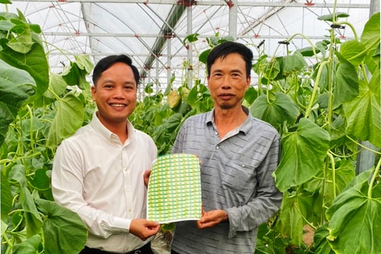 Gia Lộc bàn giao 5.000 tem truy xuất nguồn gốc cho nhà vườn Văn Thứ