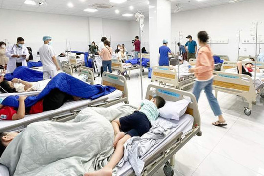 Học sinh trường Ischool Nha Trang ngộ độc do nhiễm khuẩn Salmonella