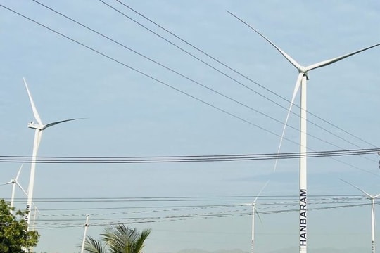 EVN đề xuất khung giá cho điện gió, mặt trời chuyển tiếp