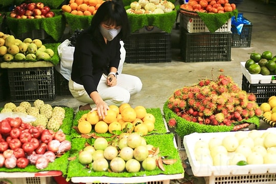 Vú sữa Hoàng Kim lạ mắt, đắt hàng
