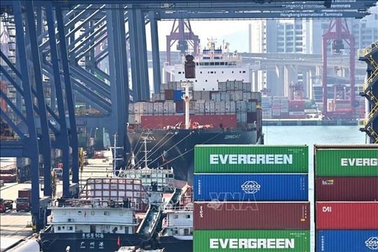 Vietnam enjoys fruitful trade, investment ties with Hong Kong (China)