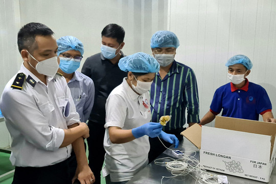 Japanese experts appreciate Red Dragon Company’s cold treatment facility