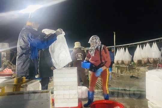 Đi hơn 60 km chỉ để ăn một bữa rươi