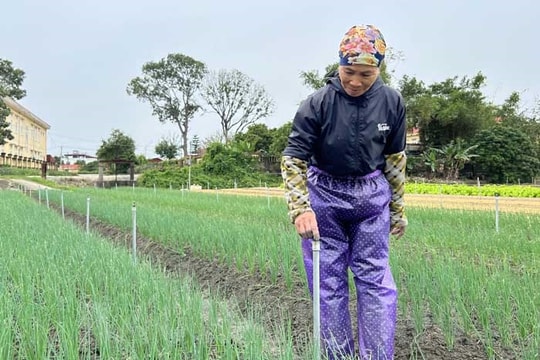 Hợp tác xã nông nghiệp gặp khó trong áp dụng cơ giới hóa vào sản xuất
