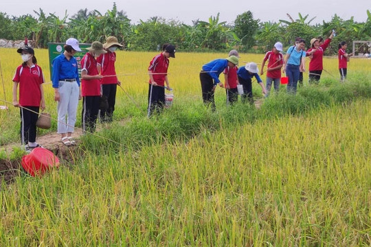 Phê duyệt phương án bảo vệ môi trường cho 31 làng nghề