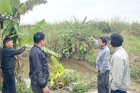 Bỏ hoang bãi tập kết nguyên vật liệu rộng gần 64.000 m2 ở thôn Tú Y 13 năm