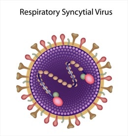 Số ca nhiễm virus hợp bào hô hấp bùng phát mạnh tại Thụy Điển 