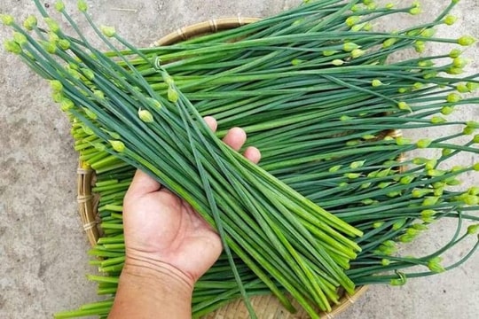 6 loại rau "bình dân" nhưng quý như nhân sâm giàu dinh dưỡng