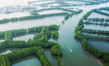 Cồn Chim hoang sơ giữa rừng ngập mặn ở Bình Định