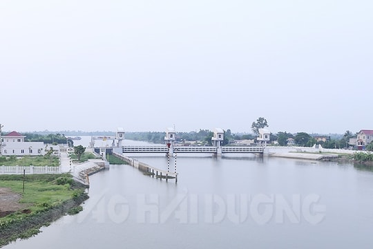 Nước tại các cống Cầu Xe, An Thổ nhiễm mặn kỷ lục