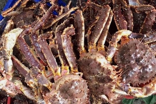 Hải sản cao cấp giá giảm mạnh, có loại rẻ hơn gần 1 triệu đồng/kg