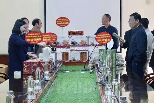 Thanh Mien proposes recognition of six more OCOP products