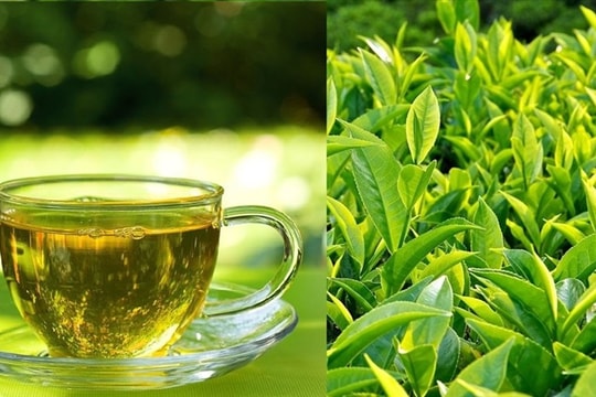 Những đồ uống giúp giữ nhiệt cho cơ thể vào mùa đông