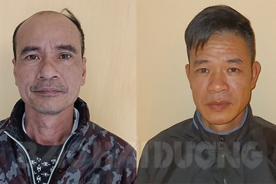 Khởi tố 2 đối tượng trong vụ đá gà cá cược ở xã Bình Xuyên