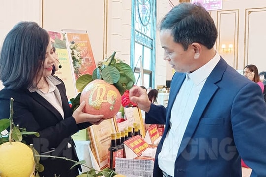[Video] Bưởi đỏ vẽ vàng 24K hút khách