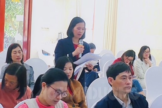 Không gieo cấy lúa trước Tết Nguyên đán